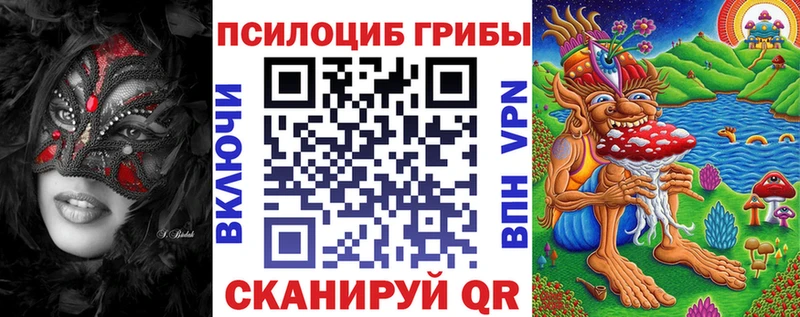 Псилоцибиновые грибы GOLDEN TEACHER наркошоп Кропоткин
